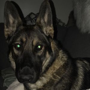 Meet your Posher, Shana